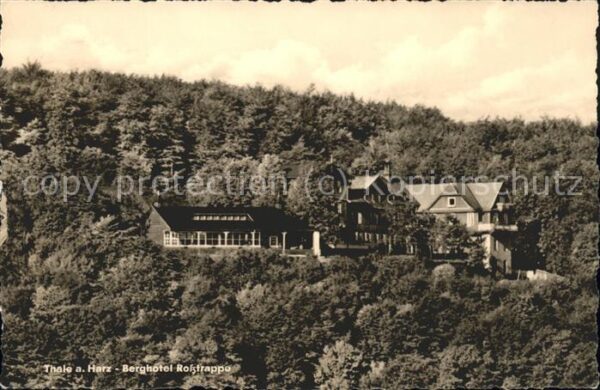 Thale Harz Berghotel Rosstrappe
