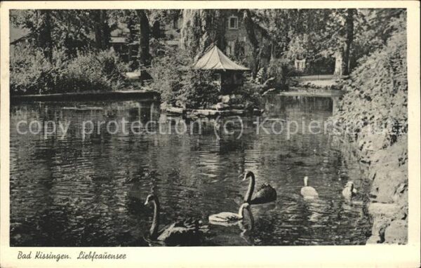 Bad Kissingen Schwanenteich