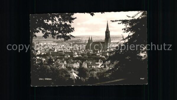 Ulm Donau Teilansicht mit Münster