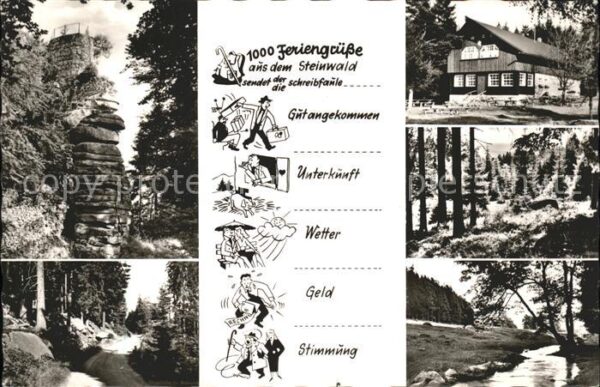 Vordersteinwald Partien im Steinwald Teilansichten
