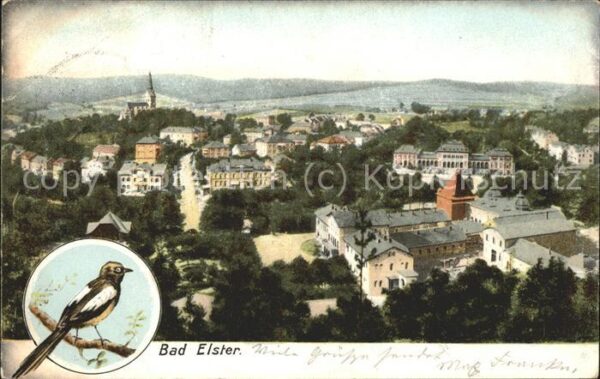 Bad Elster Panorama