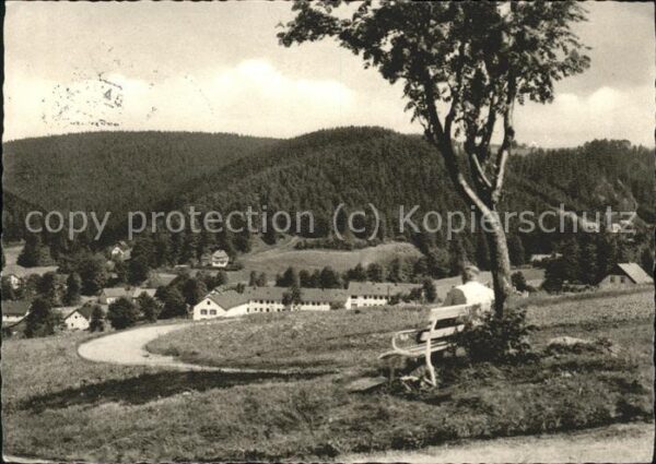 Warmensteinach Blick auf Höllfelsen