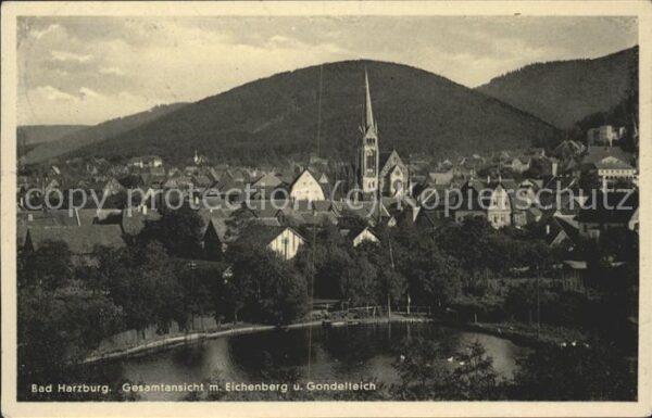 Bad Harzburg Gesamtansicht mit Eichenberg und Gondel