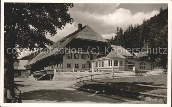 Menzenschwand Gasthof z. Hirschen