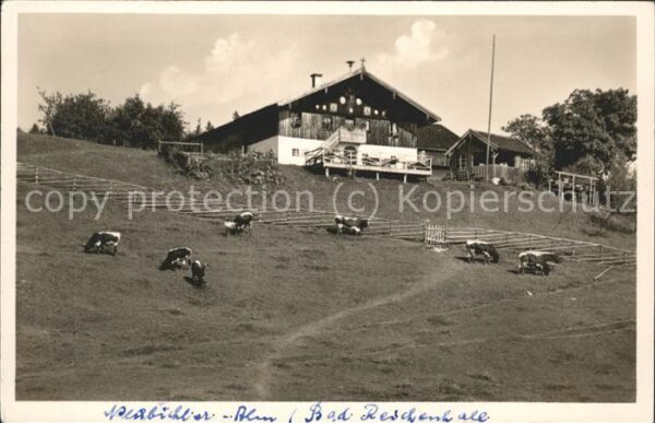 Neubichler Alm Piding Högl Bad Reichenhall