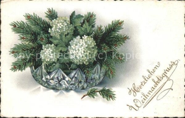 Weihnachten Blumen