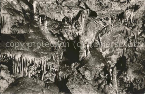 Hoehlen Caves Grottes Neuhaus-Pegnitz Maximiliansgrotte Orgel