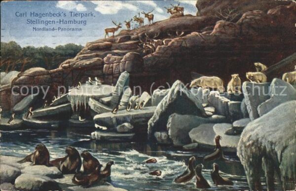Hagenbeck Tierpark Stellingen Eisbären Robben Pin