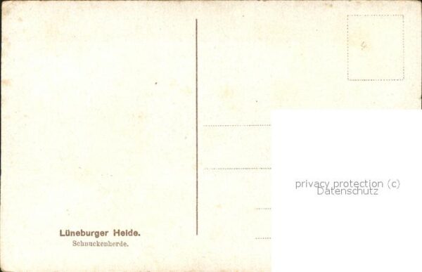 Hirte Schnuckenherde Lüneburger Heide – Bild 2