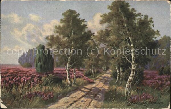 Verlag Primus Nr. 879 Wenn die Heide blüht