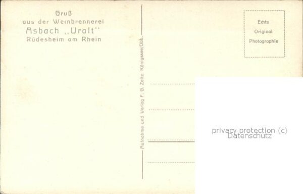 Foto Zeitz F.G. Nr. 1019 Burg Rheinstein – Bild 2