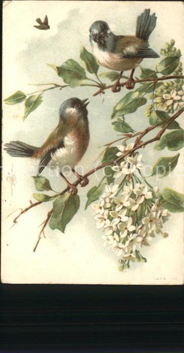 Voegel Rotkehlchen Ast Baum Blumen