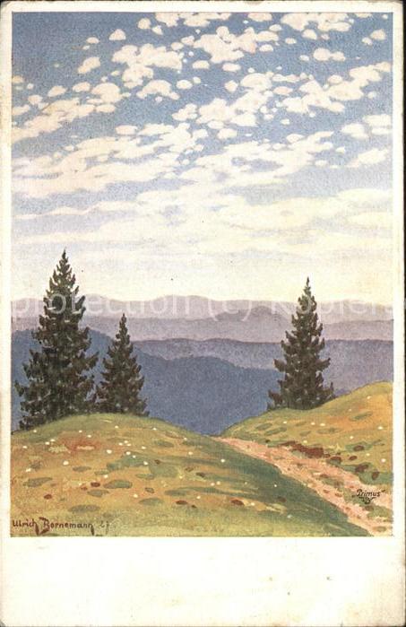 Verlag Primus Nr. 03390 Ulrich Bornemann Tannenbäume