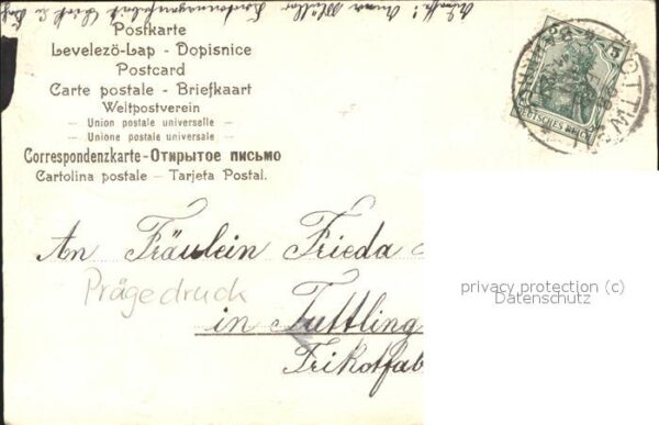 Brieftaube Carrier Pigeon voyageur Geburtstag Blumen – Bild 2