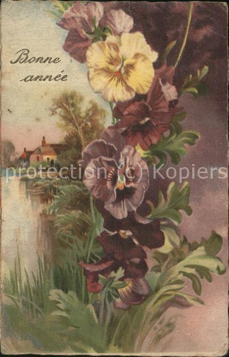 Blumen Neujahr Veilchen