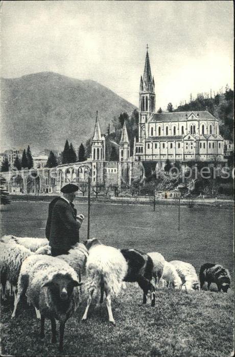Hirte Schafe Lourdes Basilique