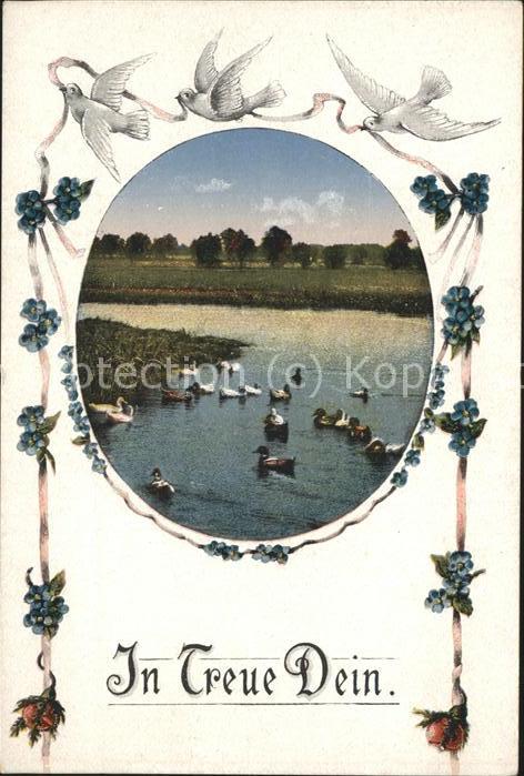Enten Tauben Blumen Jugendstil