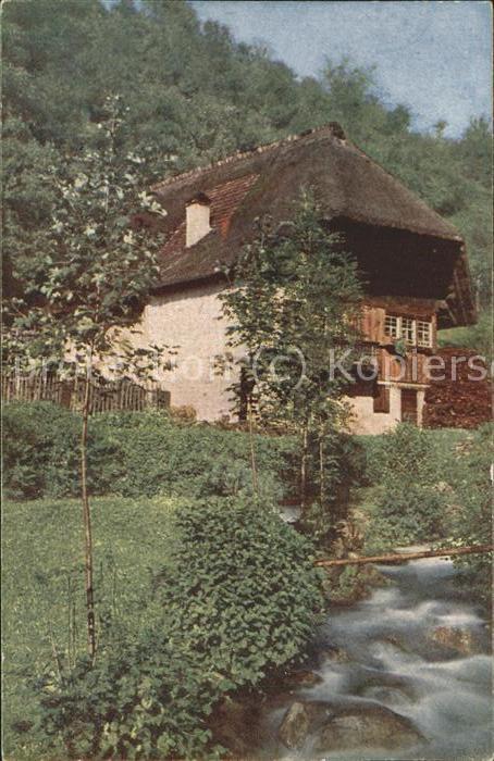 Schwarzwaldhaeuser