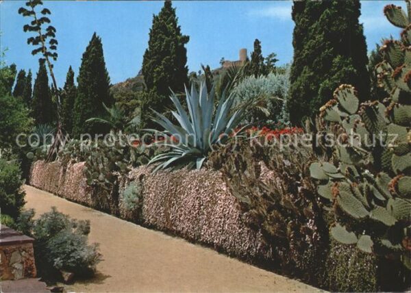 Kakteen Blanes Costa Brava Jardin Botanico Mar
