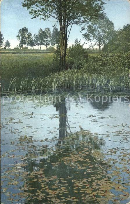 Verlag Photochromie Nr. 1723 Baum See Natur