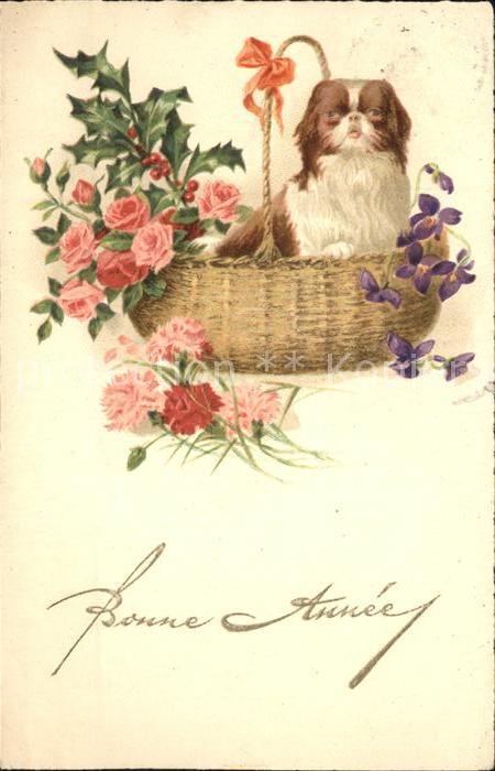 Hunde Neujahr Rosen Veilchen