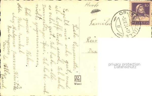Hunde – Bild 2