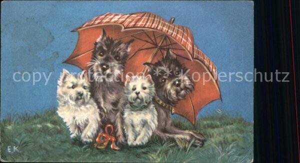 Hunde Terrier Regenschirm