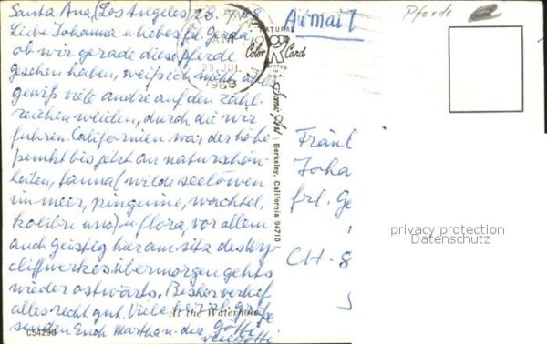 Pferde – Bild 2