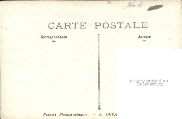 Pferde Soldat – Bild 2