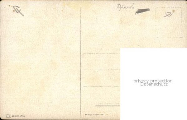 Pferde – Bild 2