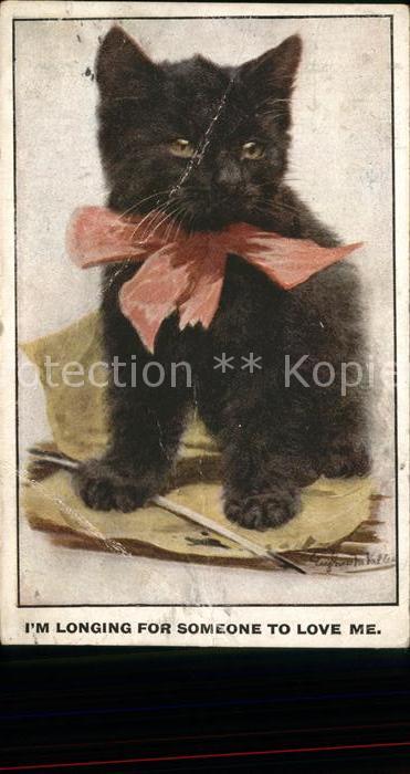 Katzen Schleife Künstlerkarte