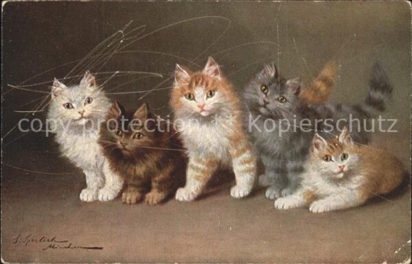 Katzen Künstlerkarte