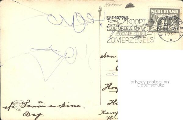 Katzen – Bild 2