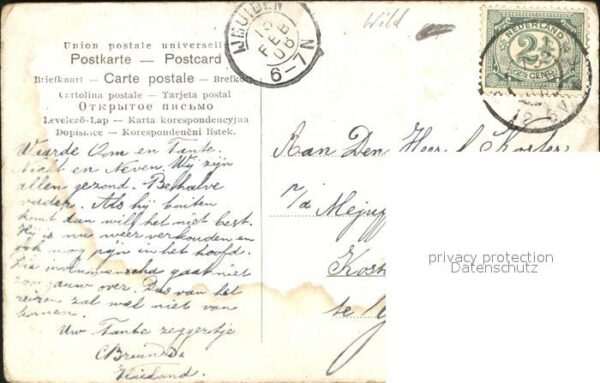 Hirsch Künstlerkarte – Bild 2