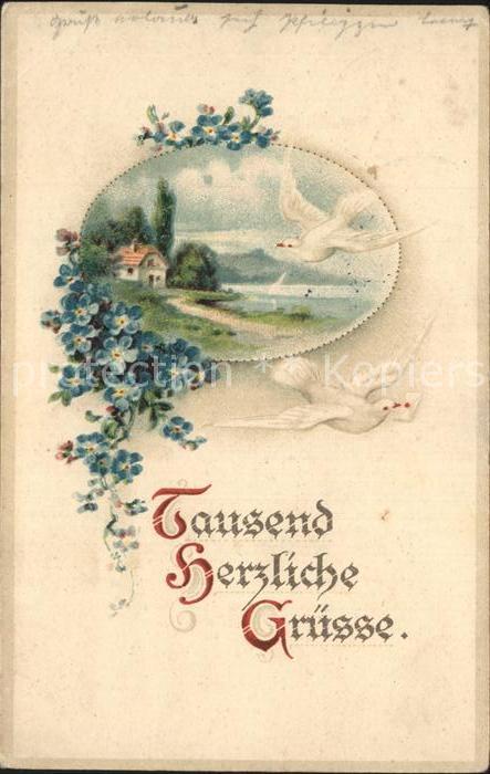 Brieftaube Carrier Pigeon voyageur Blumengrüsse Saargemünd