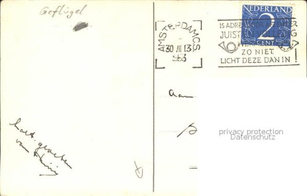 Gefluegel Gänse Kind – Bild 2