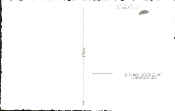Kuehe – Bild 2