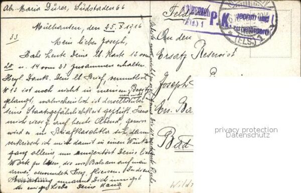 Reh Künstlerkarte Alf. Schönien – Bild 2