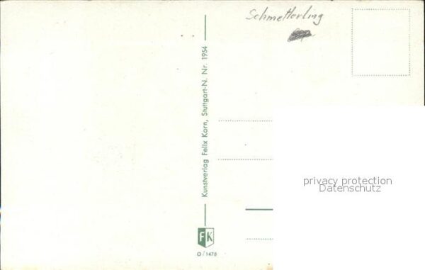 Schmetterlinge Blumen Künstlerkarte – Bild 2