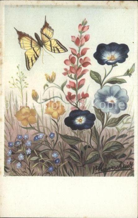 Schmetterlinge Blumen Künstlerkarte
