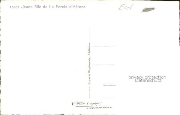Esel Tiere La Forcla d_Herens – Bild 2