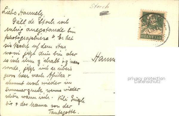 Storch – Bild 2