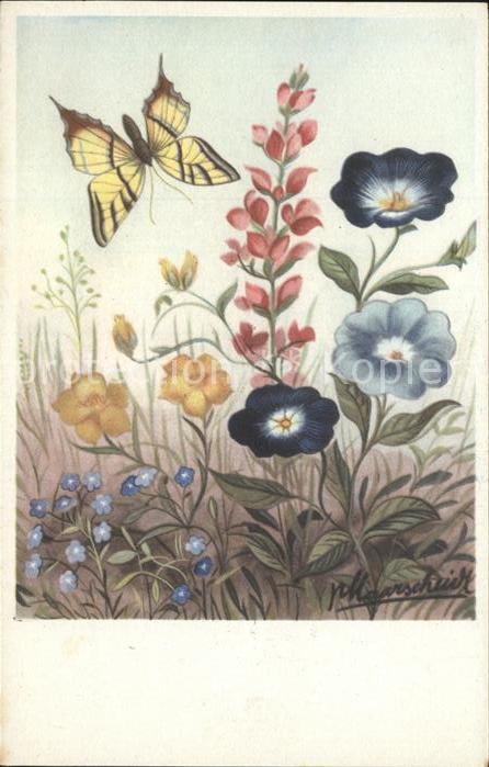 Schmetterlinge Blumen Künstlerkarte
