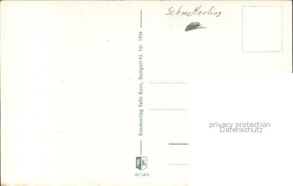 Schmetterlinge Blumen Künstlerkarte – Bild 2