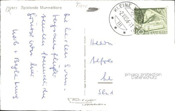 Murmeltier – Bild 2