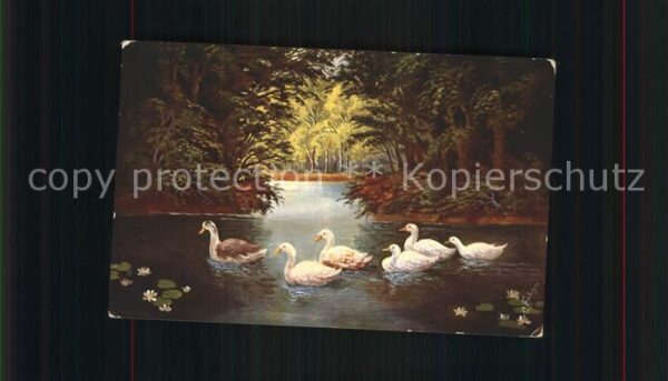 Enten Künstlerkarte C. Fiebiger Nr. 490