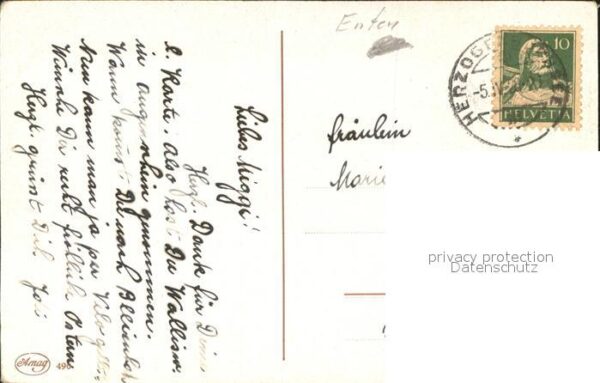 Enten Künstlerkarte C. Fiebiger Nr. 490 – Bild 2