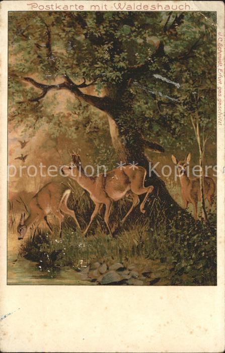 Reh Hirsch Baum Wald