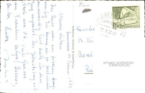 Murmeltier – Bild 2
