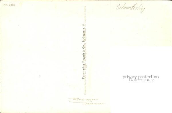 Schmetterlinge Blumen – Bild 2